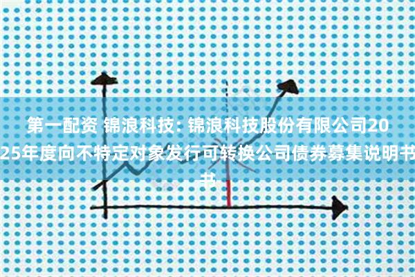 第一配资 锦浪科技: 锦浪科技股份有限公司2025年度向不特定对象发行可转换公司债券募集说明书