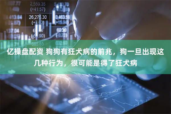 亿操盘配资 狗狗有狂犬病的前兆，狗一旦出现这几种行为，很可能是得了狂犬病