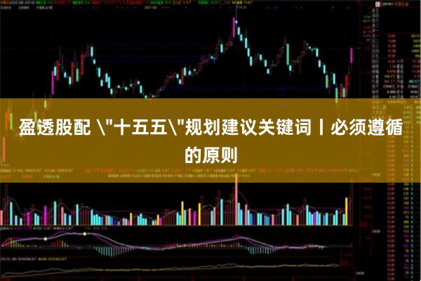 盈透股配 ＂十五五＂规划建议关键词丨必须遵循的原则