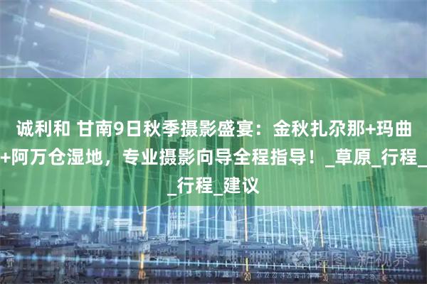 诚利和 甘南9日秋季摄影盛宴：金秋扎尕那+玛曲彩林+阿万仓湿地，专业摄影向导全程指导！_草原_行程_建议