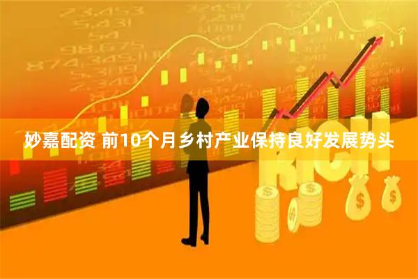 妙嘉配资 前10个月乡村产业保持良好发展势头
